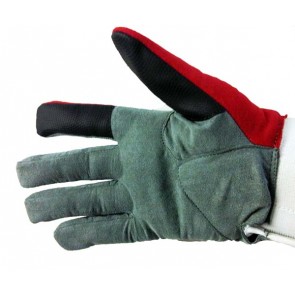Collegiate Deluxe Glove